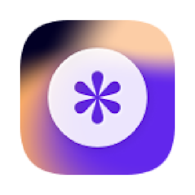 Designer Daily Report